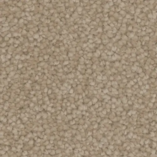 Microban® Polyester - Canvas II by Phenix Carpet