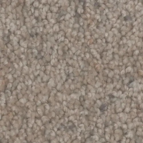 Microban® Polyester - Dolce by Phenix Carpet