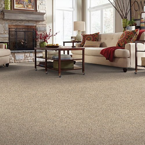 Family friendly carpet in Henderson, NC from Carolina Carpet & Flooring